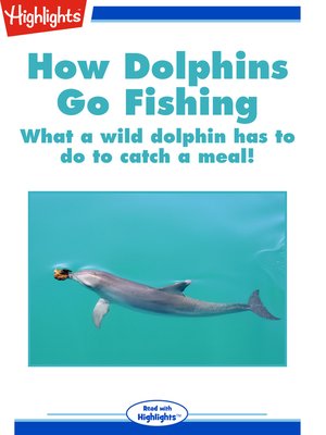 cover image of How Dolphins Go Fishing